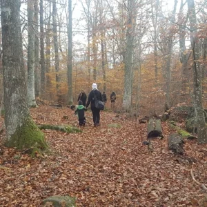 Några människor som går genom en skog.