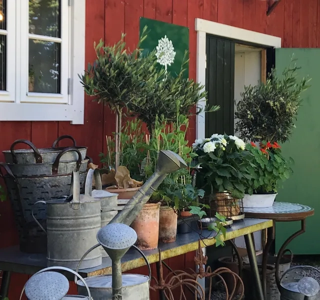 Ingången till gårdsbutiken pyntad med vackra blomdekorationer