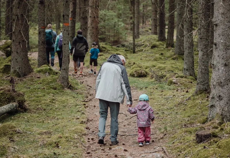 En äldre man håller en lite flicka i handen och går på en stig i skogen.