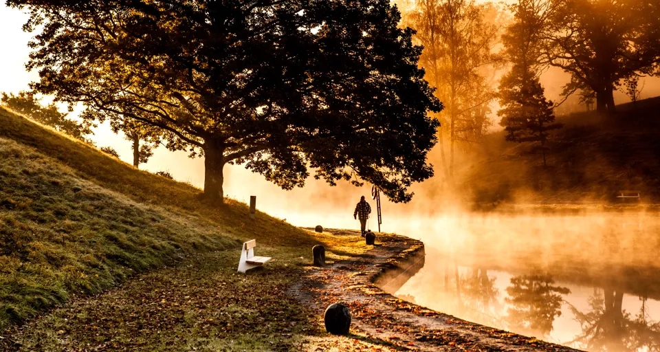 En man som står bredvid ett träd nära ett vattendrag.