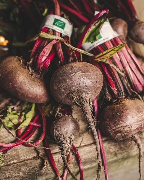 Rödbetor i en bunt som ligger på ett bord.