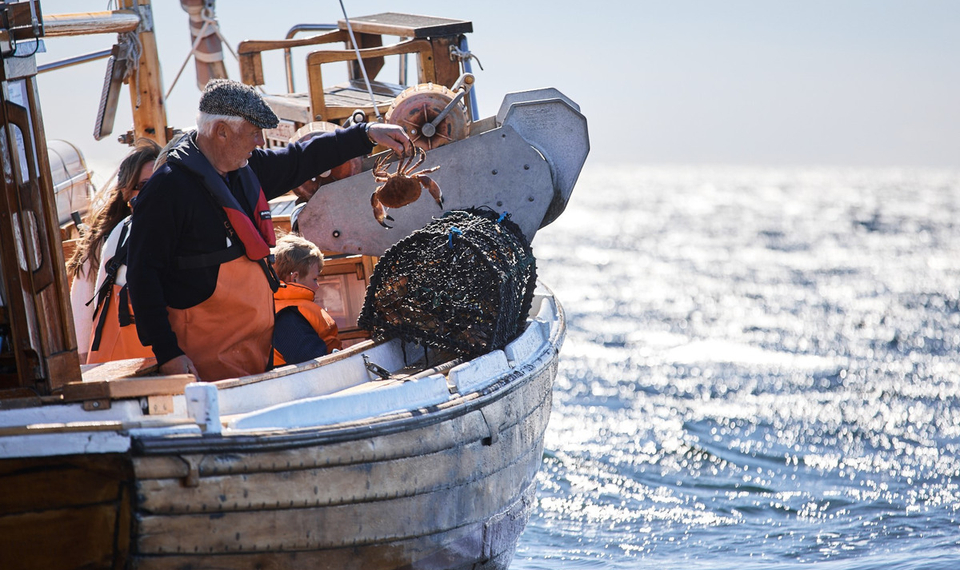 Krabbfiske med Kastor Boat Trips