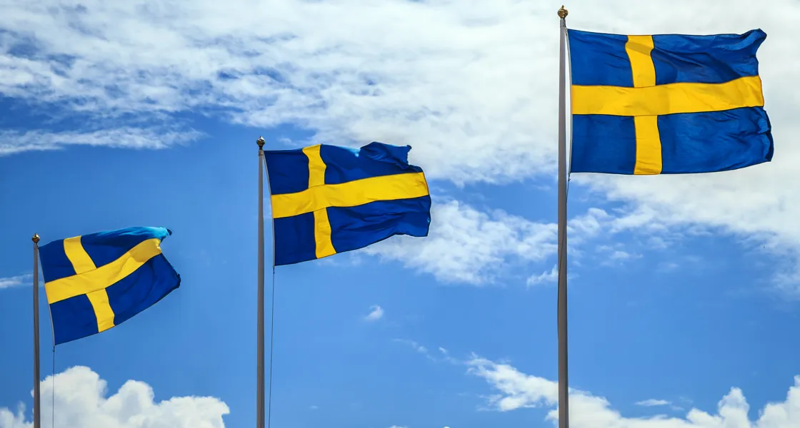 Vi firar Nationaldagen i parken - Tanumshede