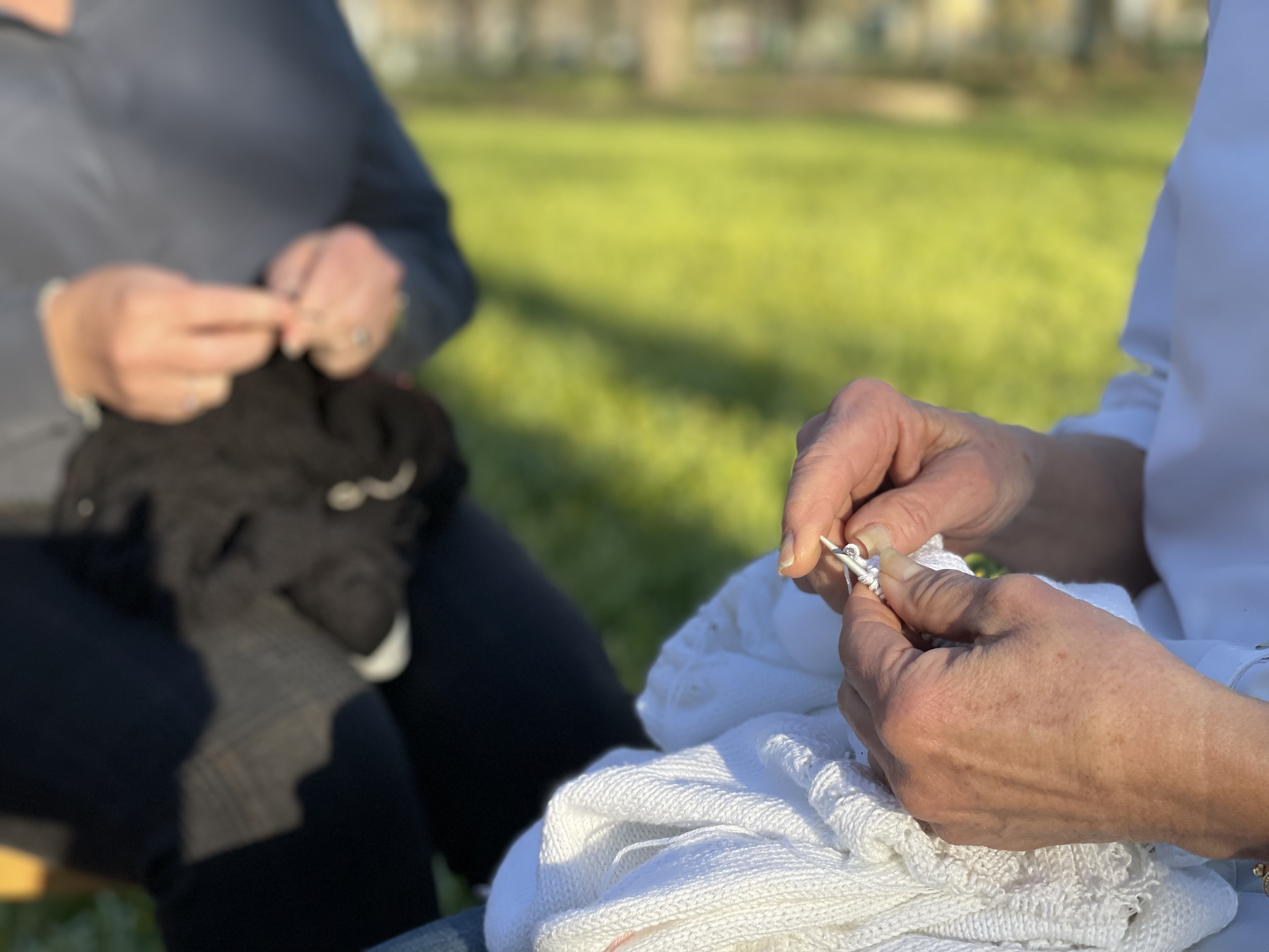 Världsstickardagen