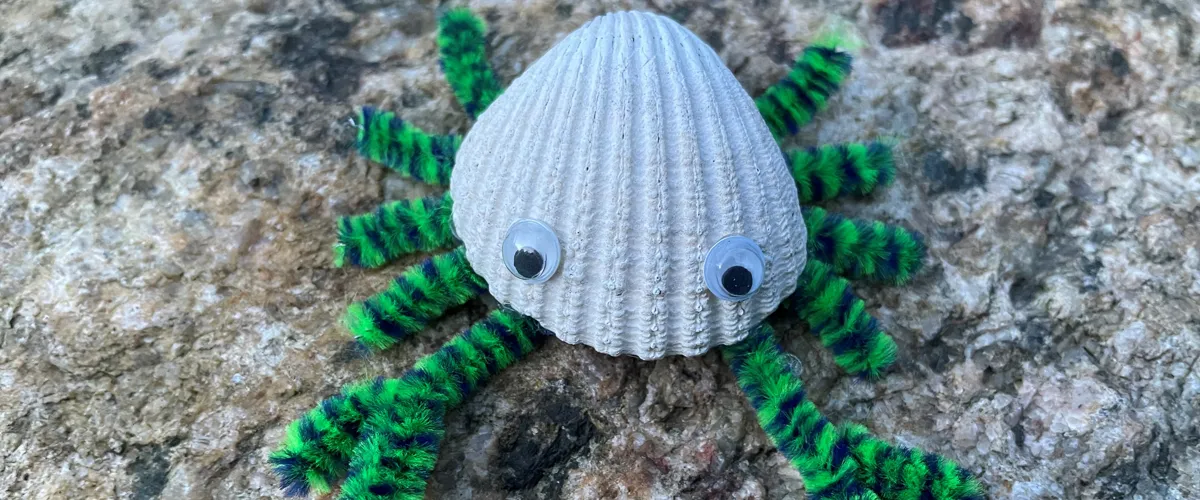 Höstlov på naturum Kosterhavet