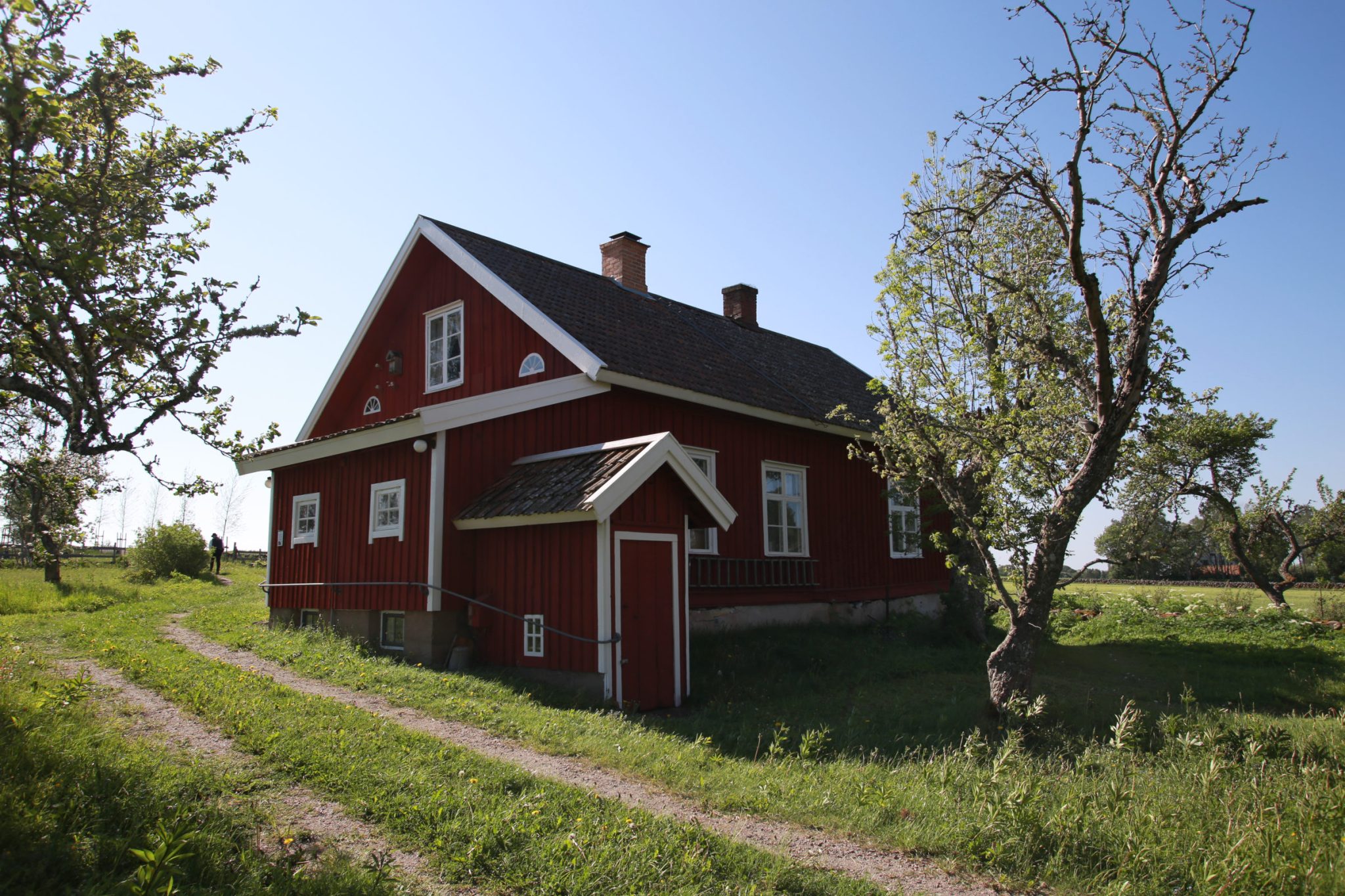 Utflykt till Naturum vid Hornborgasjön och Heljesgården