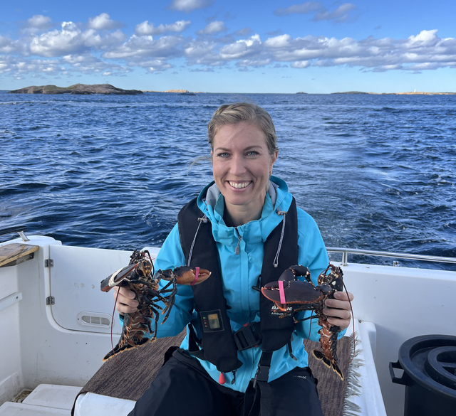 Viktoria fiskar hummer