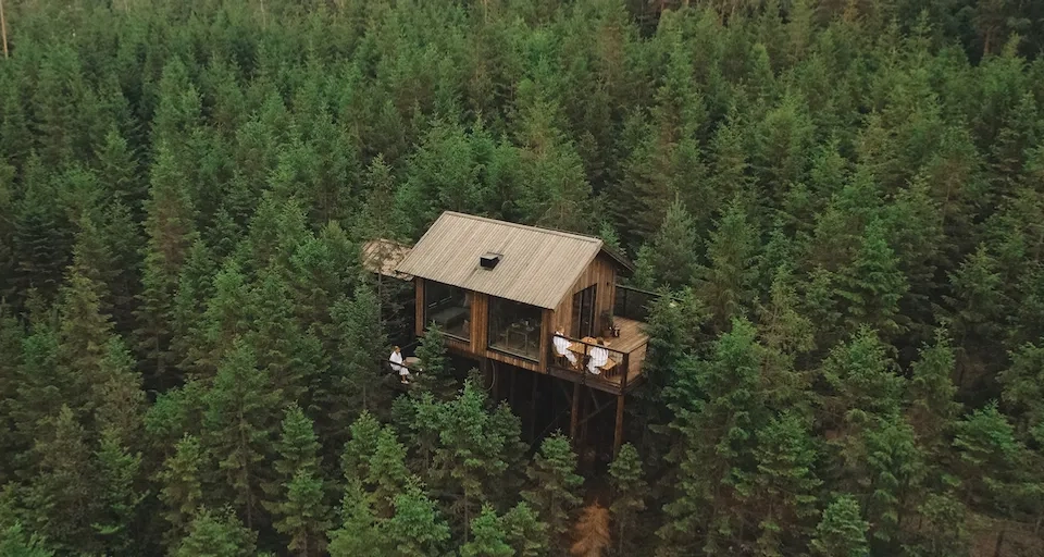 Trädhushotell mitt i skogen.