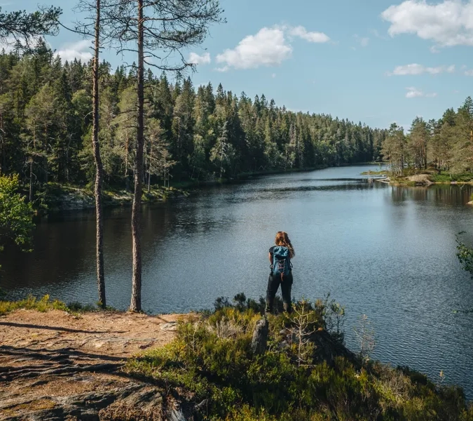 Dalsland