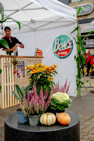 Ett bord täckt med massor av olika typer av blommor.