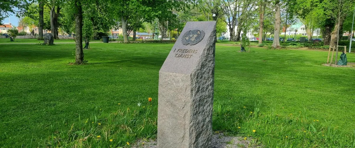 Veterandagen