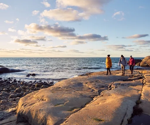 En grupp människor som går längs en klippig strand.