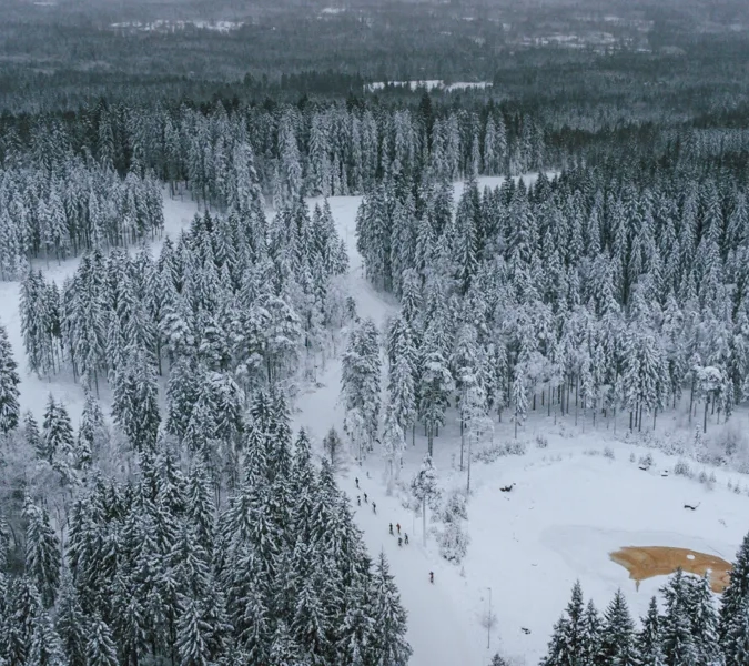 An aerial view of a snow covered forest.