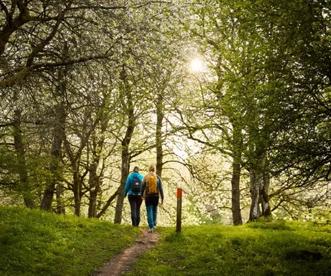 Vandring vid Höjentorp