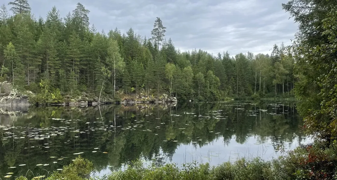 Mörke-Malen runt