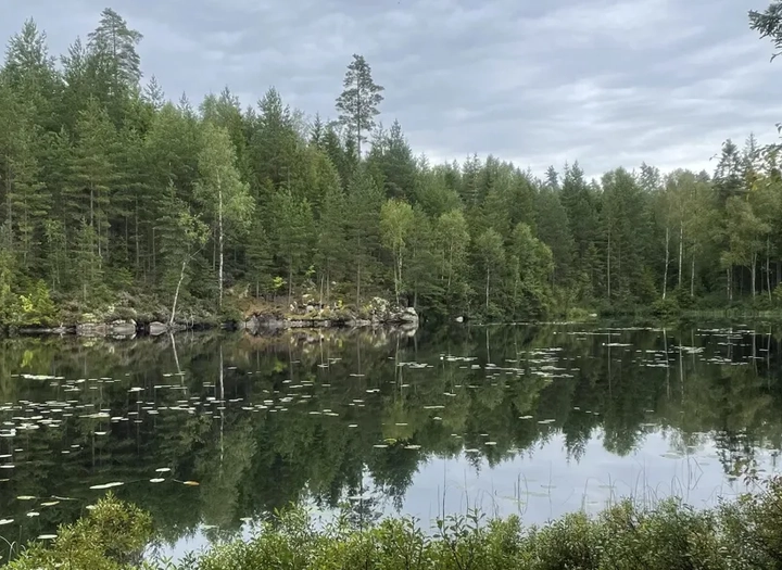 Mörke-Malen runt