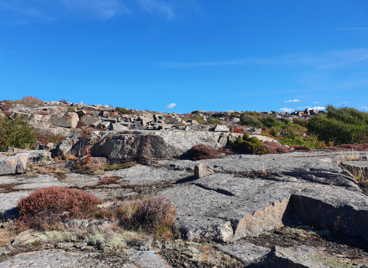 Poängpromenad i Sibirien