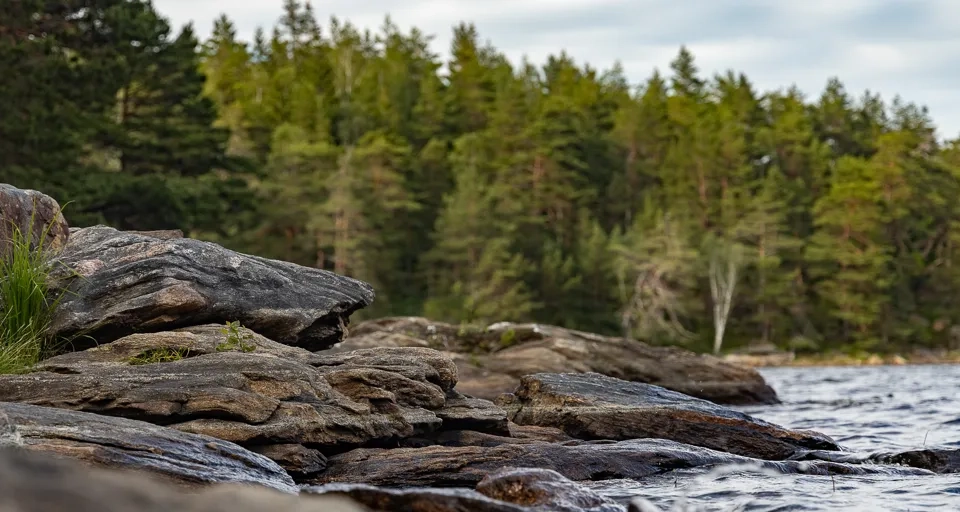 Vandring Bredfjället
