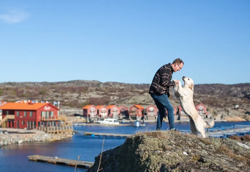 Hotel Strana Hälleviksstrand hund