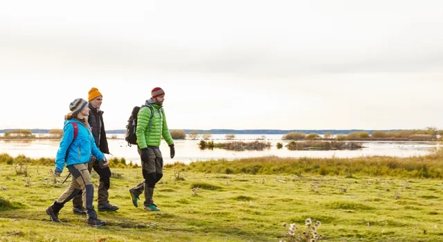 Vandring vid Hornborgasjön