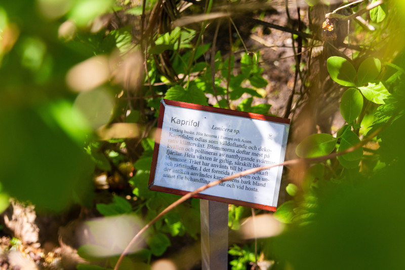 Falkängens hantverksby med historiska byggnader och grönskande omgivningar.