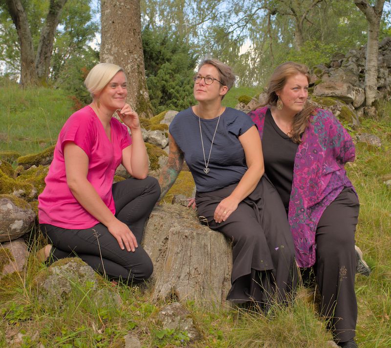Musik i sommarkväll - Folkmusik med Trinning