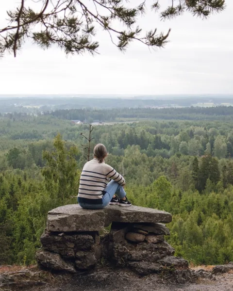 A person sitting on top of a rock near a forest.
