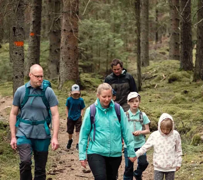 Eine Gruppe von Menschen, die durch einen Wald gehen.