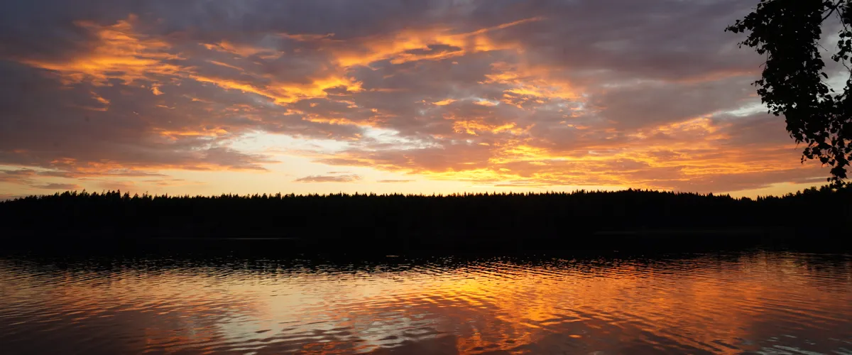 Visning av Rävlyckan