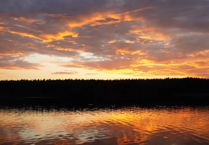 Visning av Rävlyckan