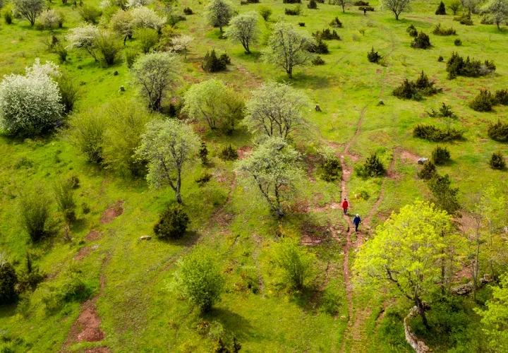 Pilgrimsvandring i Österplana
