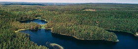 Flygbild på tät skog och en sjö