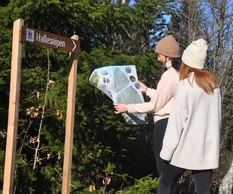 Två personer i skogen med vandringskarta