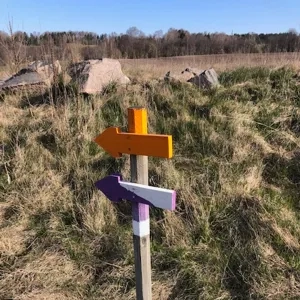 Orange pil och Lila/vit pil