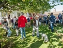 Höstmarknad på Stuveröd Fårgård 2022