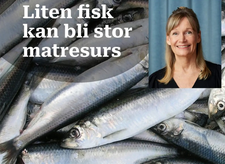 Sillicon valley - en nod för framtidens mat från havet