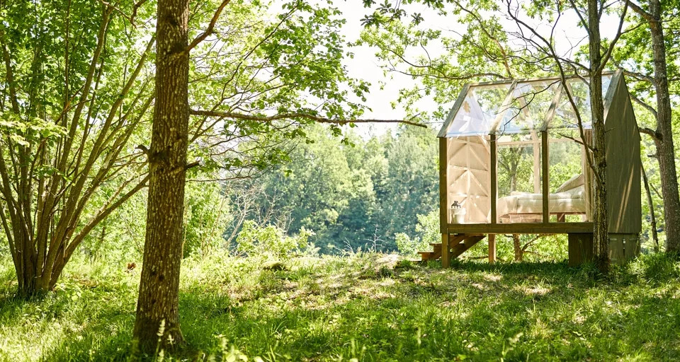 En liten träkonstruktion mitt i en skog.