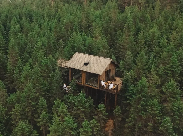 En trädkoja mitt i en skog.