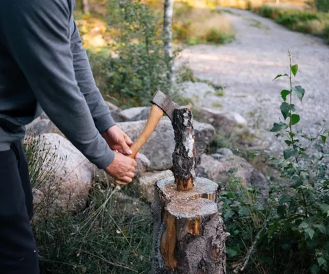 En man hugger ett träd med en yxa.