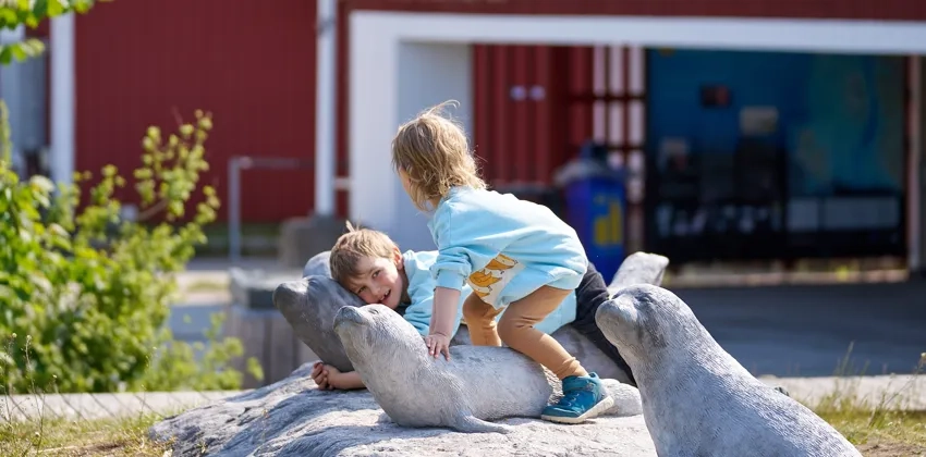 Barn leker utanför naturum Kosterhavet