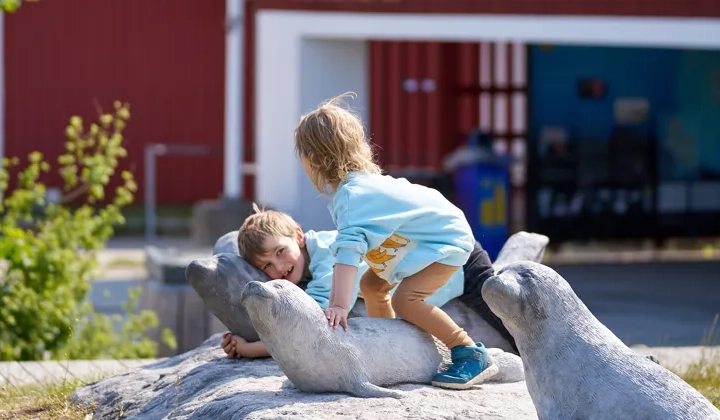 Barn leker utanför naturum Kosterhavet