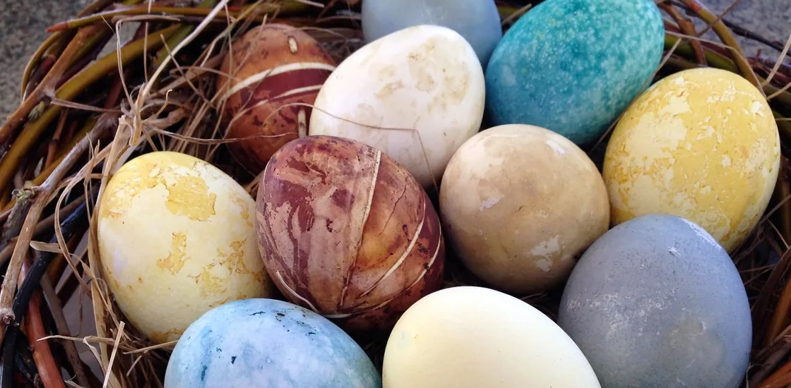 Påskägg i olika färger i ett rede.