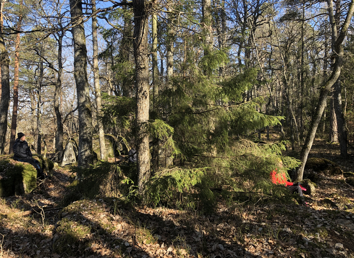 Naturens läkande kraft för återhämtning och ny energi 