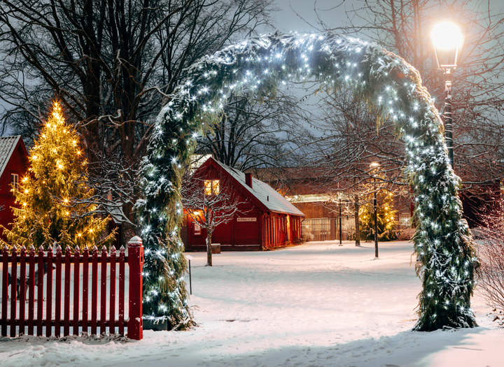 Senior pop-up stadsvandring med jultema i Helénsparken