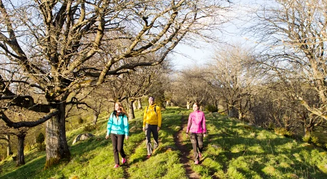 En grupp människor som går över en ås på våren.