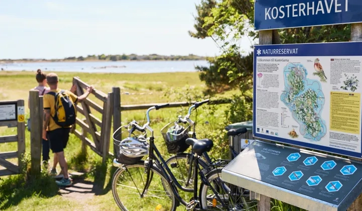 Några cyklar parkerade intill ett trästaket.