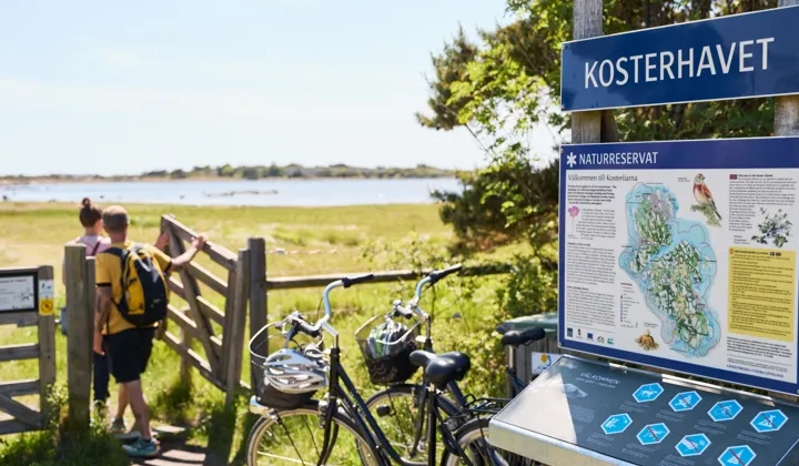 A couple of bikes parked next to a wooden fence.