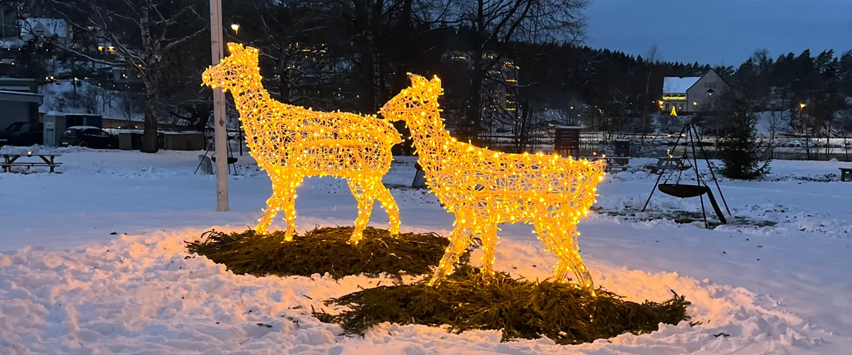 Julparad på Spikön
