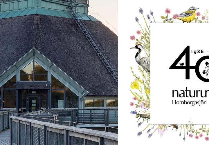 40 årsfirande för naturum Hornborgasjön