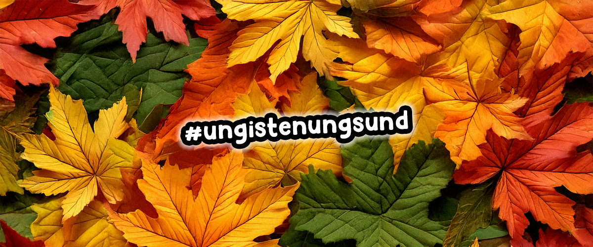 Höstlov med Ungdomsverksamheten